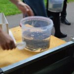 Lachsbesatz an der Rur 2014, Bild 6 von 15