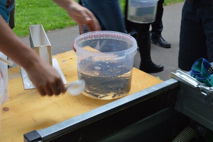 Lachsbesatz an der Rur 2014, Bild 6 von 15