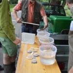 Lachsbesatz an der Rur 2014, Bild 7 von 15