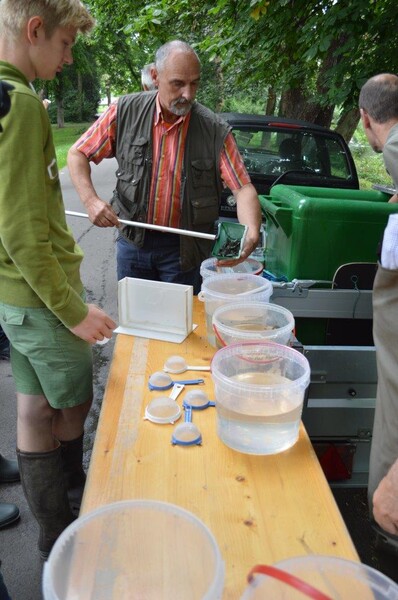 Lachsbesatz an der Rur 2014, Bild 7 von 15