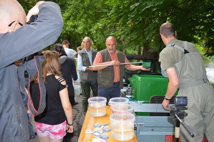 Lachsbesatz an der Rur 2014, Bild 8 von 15