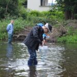 Lachsbesatz an der Rur 2014, Bild 9 von 15