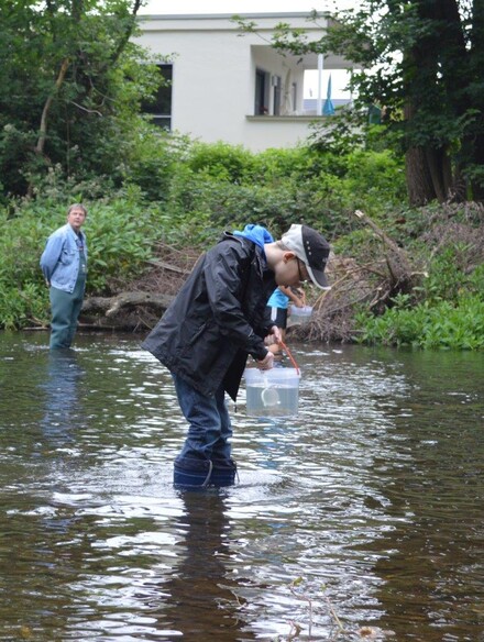 Lachsbesatz an der Rur 2014, Bild 9 von 15