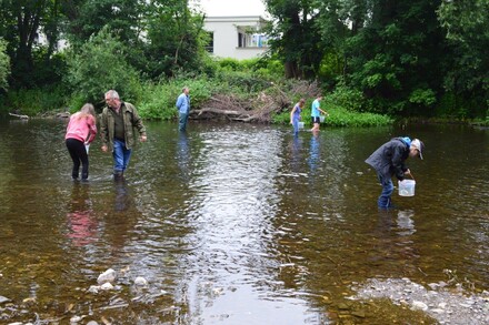 Lachsbesatz an der Rur 2014, Bild 12 von 15