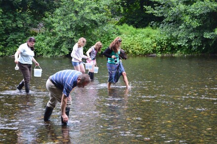 Lachsbesatz an der Rur 2014, Bild 13 von 15