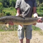 Lachsprogramm-Erfolge-Lachs3
