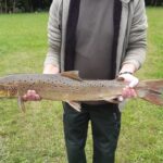 Lachsprogramm-Erfolge-Lachs6