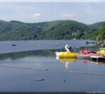 Obermaubach-Schwanenboot