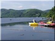Obermaubach-Schwanenboot