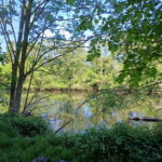 Sicht auf Rur vom Ufer