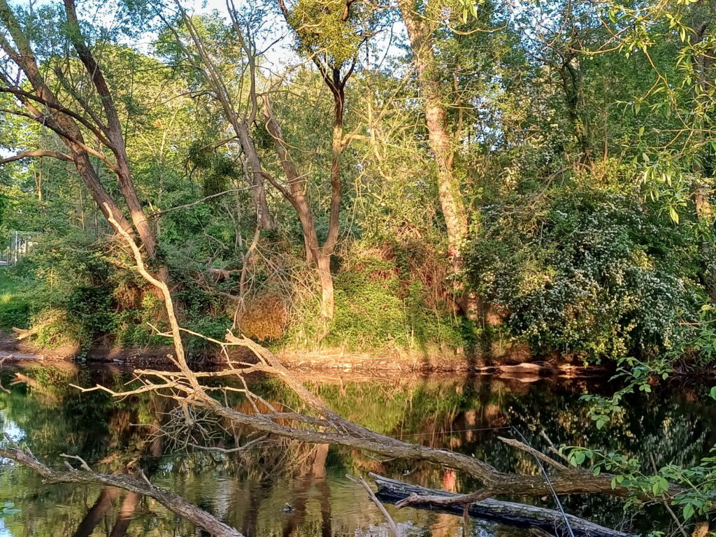 Rur Impression