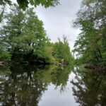 Rur Impression